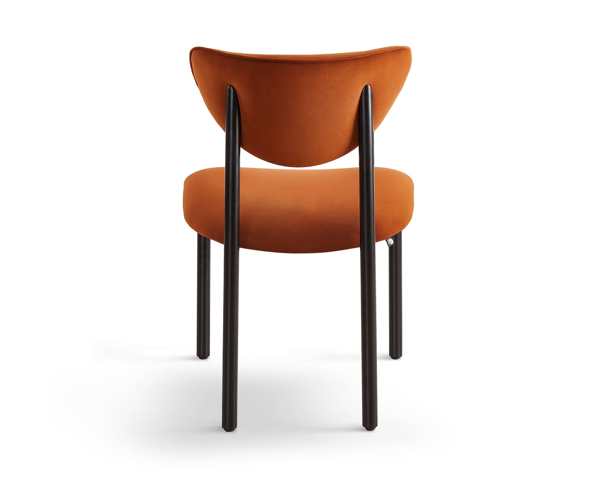 Noah Dining Chair - Megan Oxide (Set of 2)