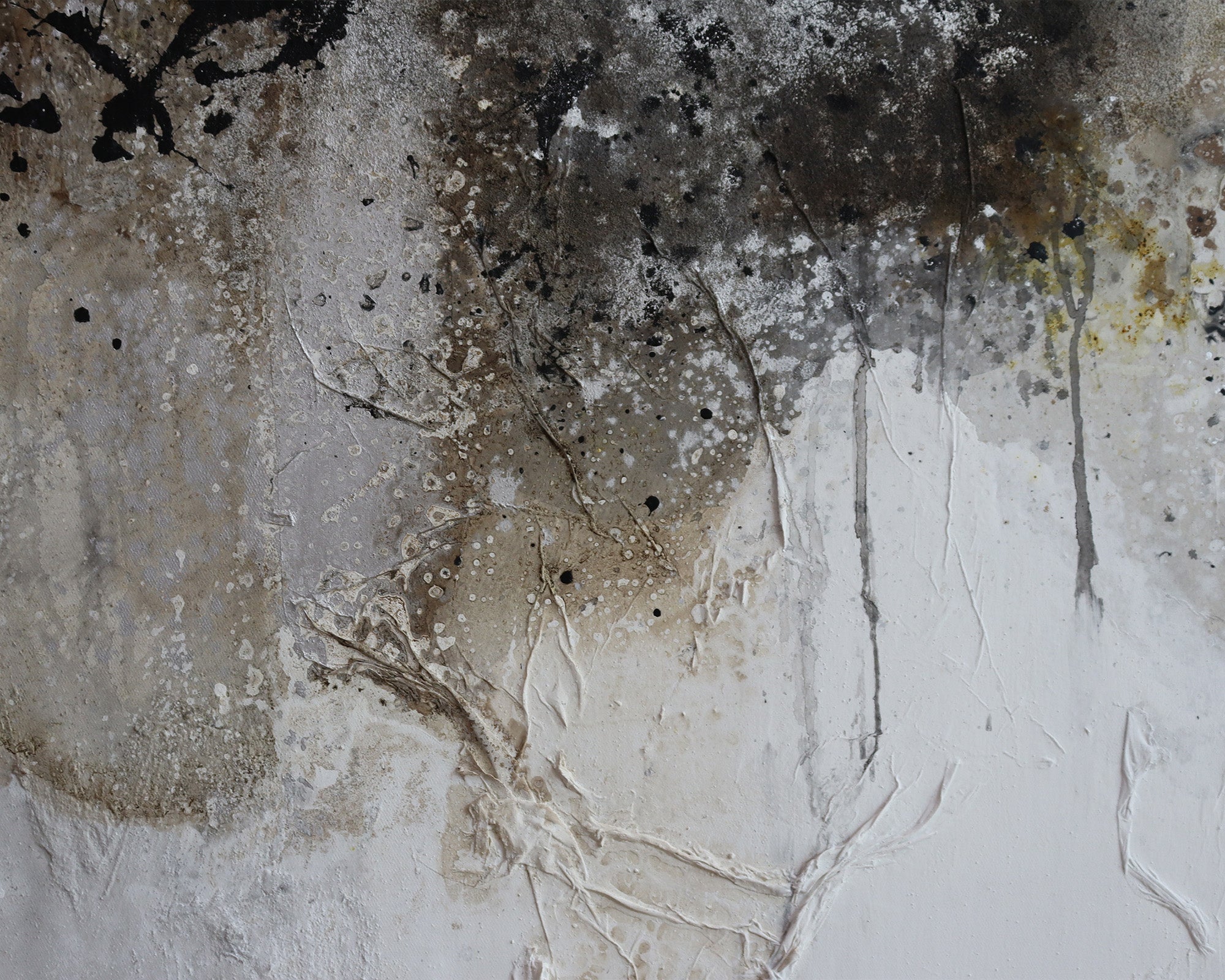 Minomi Oil Painting - Brown and White