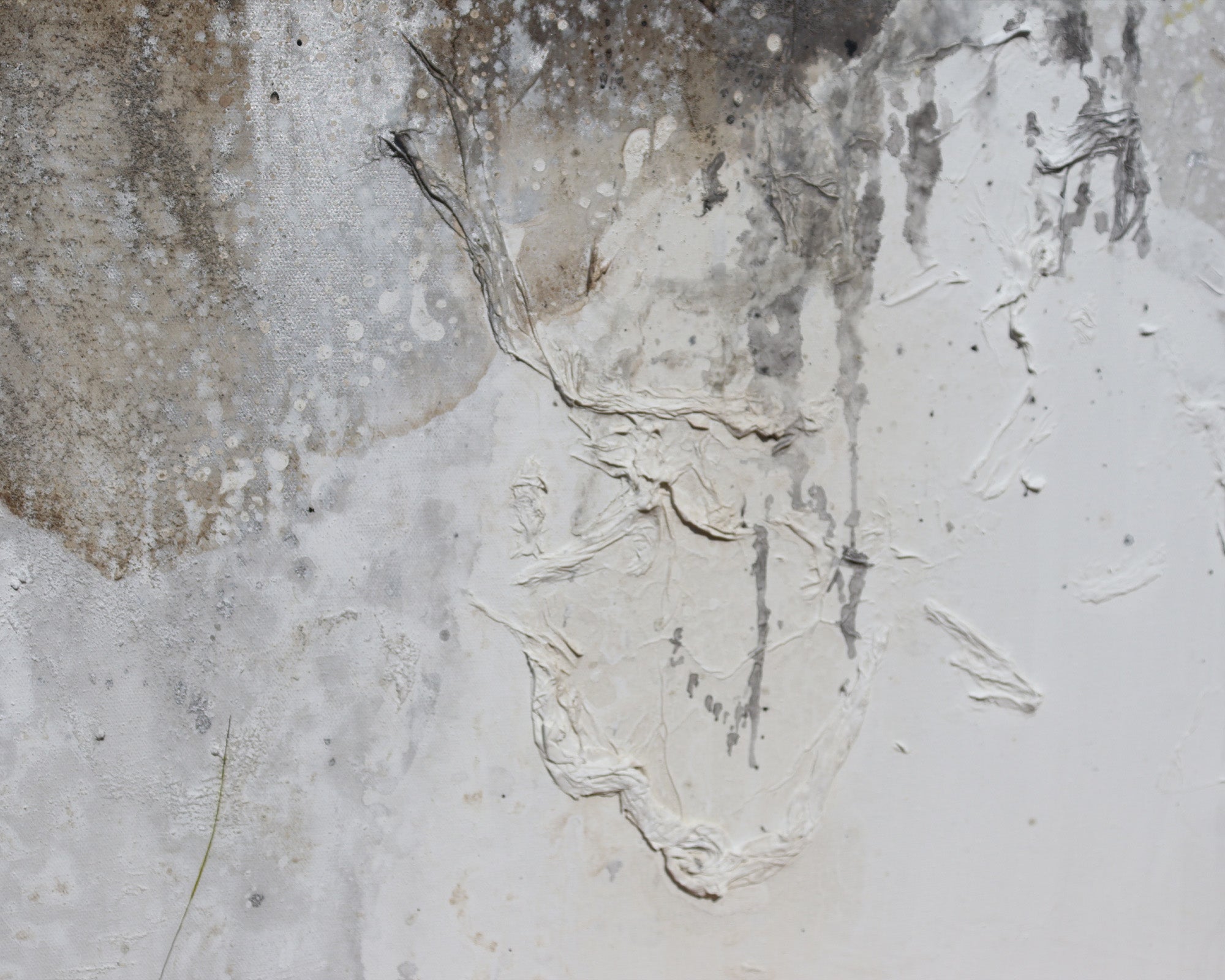 Minomi Oil Painting - Brown and White