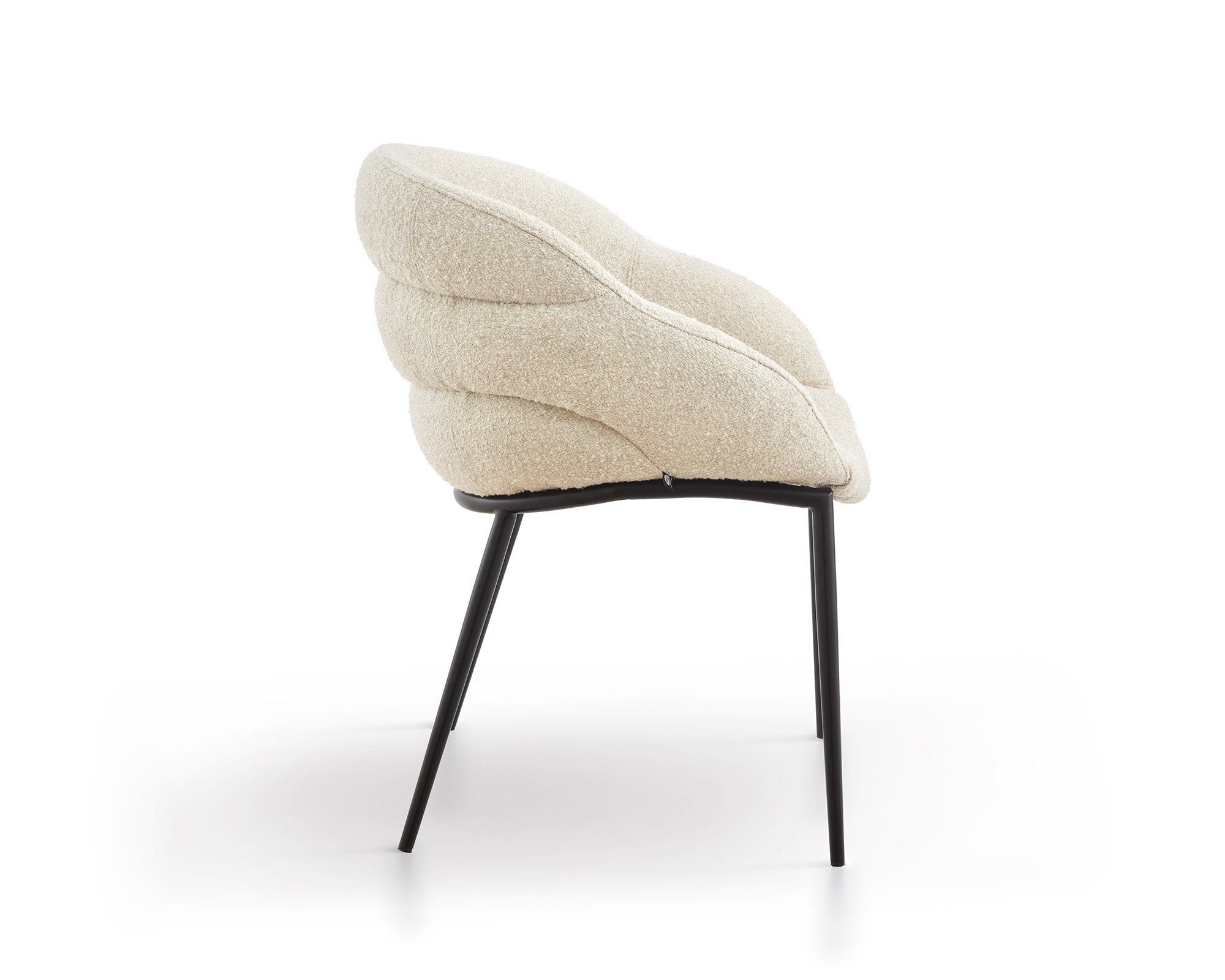 Amber Dining Chair  -  Colman Pearl