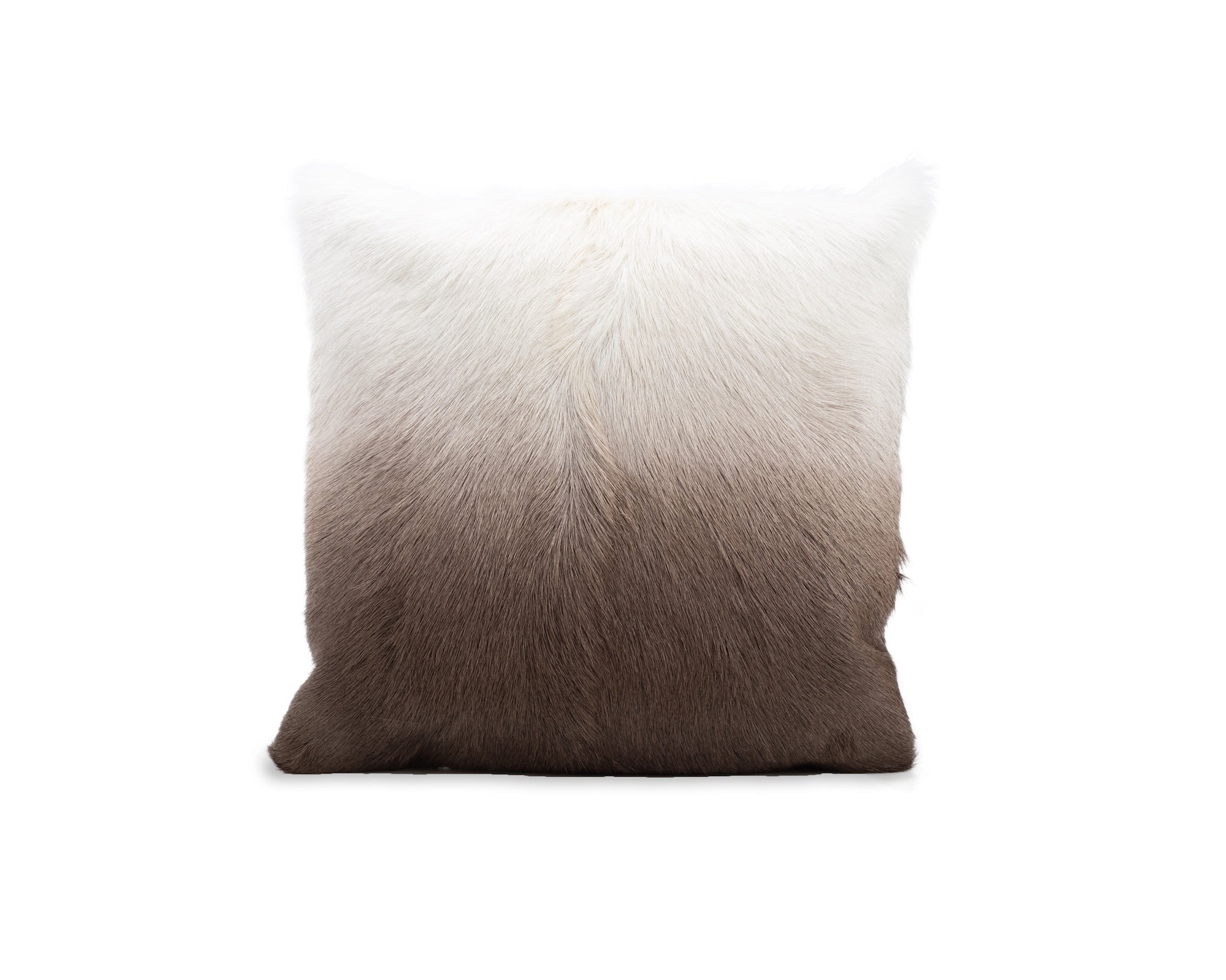 Zarello Pillow - Ivory/Taupe Ombre