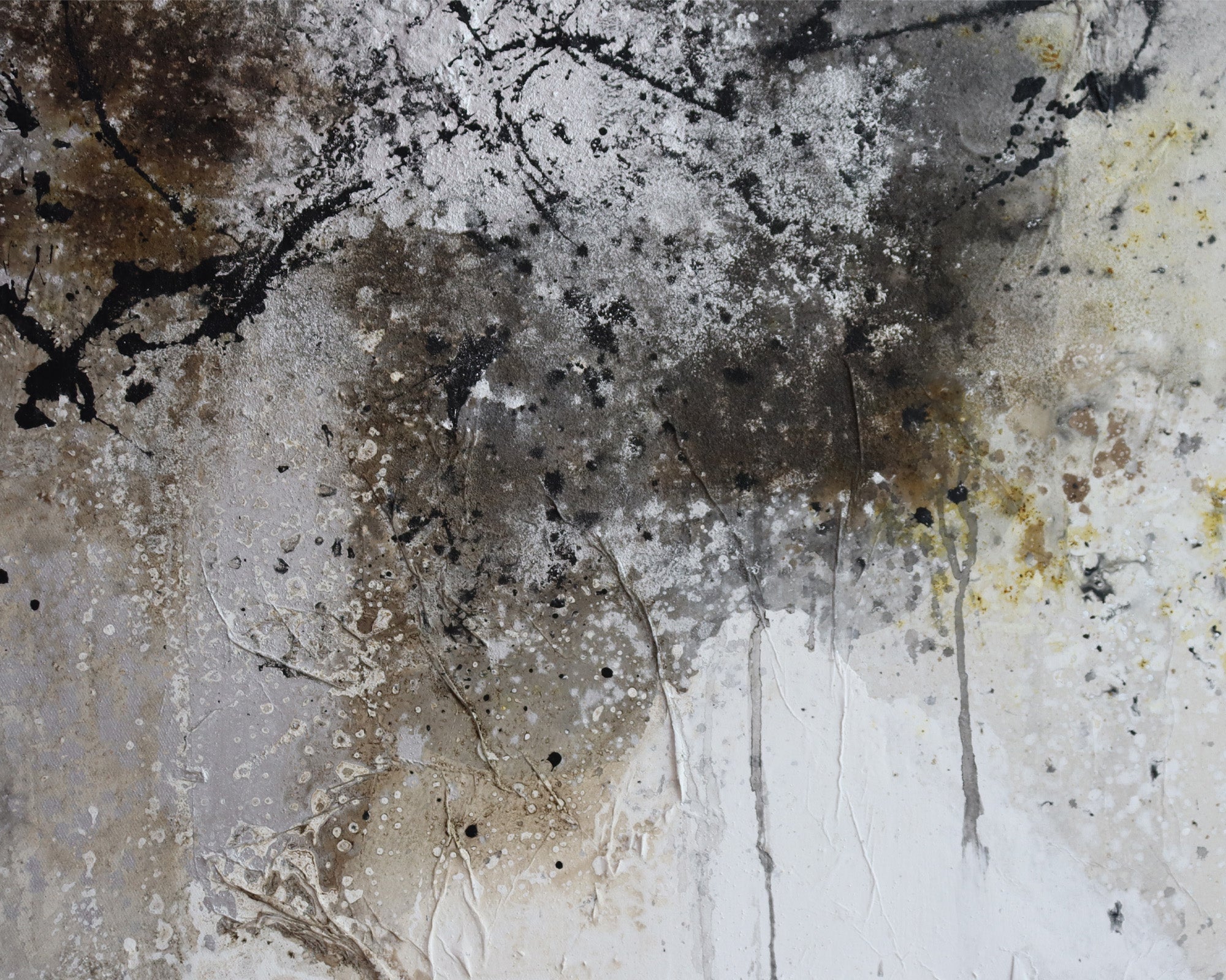 Minomi Oil Painting - Brown and White