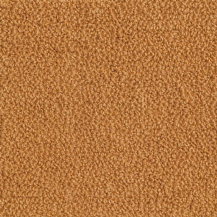Lander Ochre