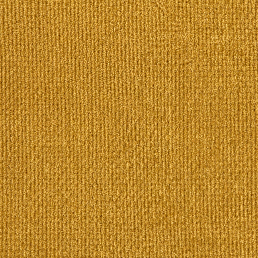 Morgan Ochre