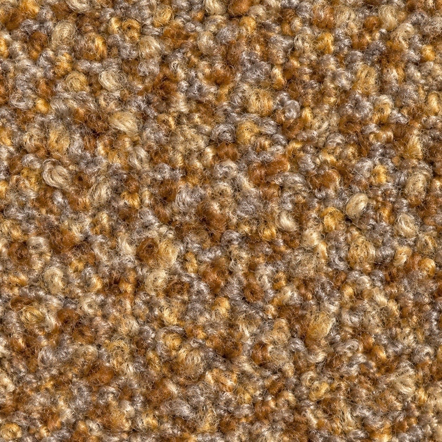 Norfolk Brown