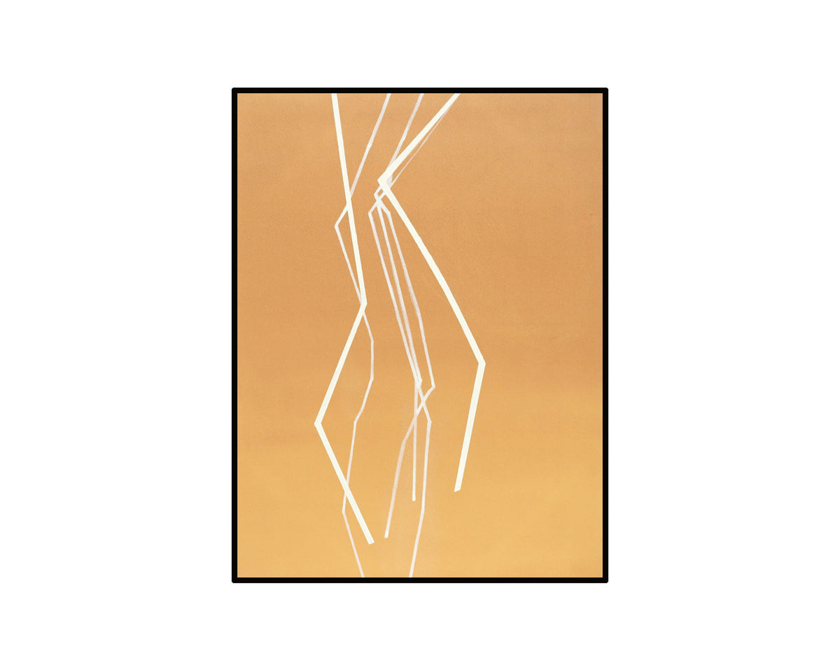 Fractal Oil Painting - Orange and White